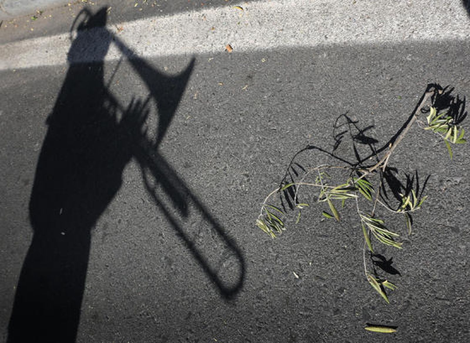 Foto: Rafael A. Butelo