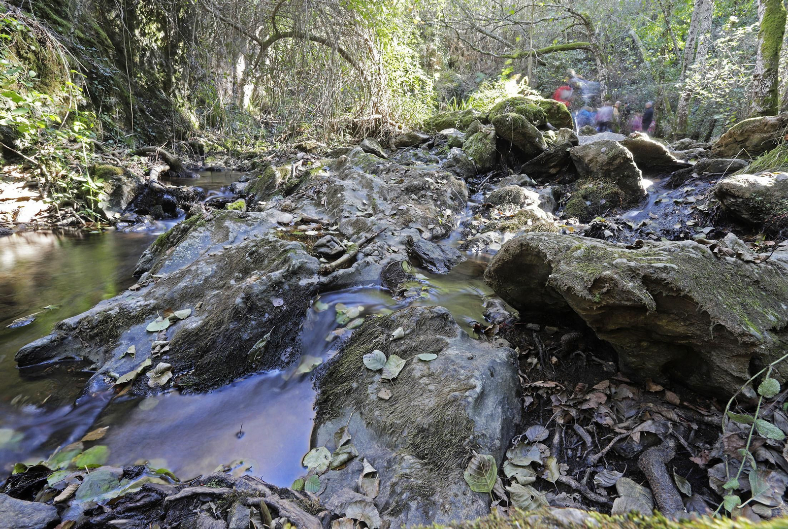 Ruta de Senderismo Charco Malo