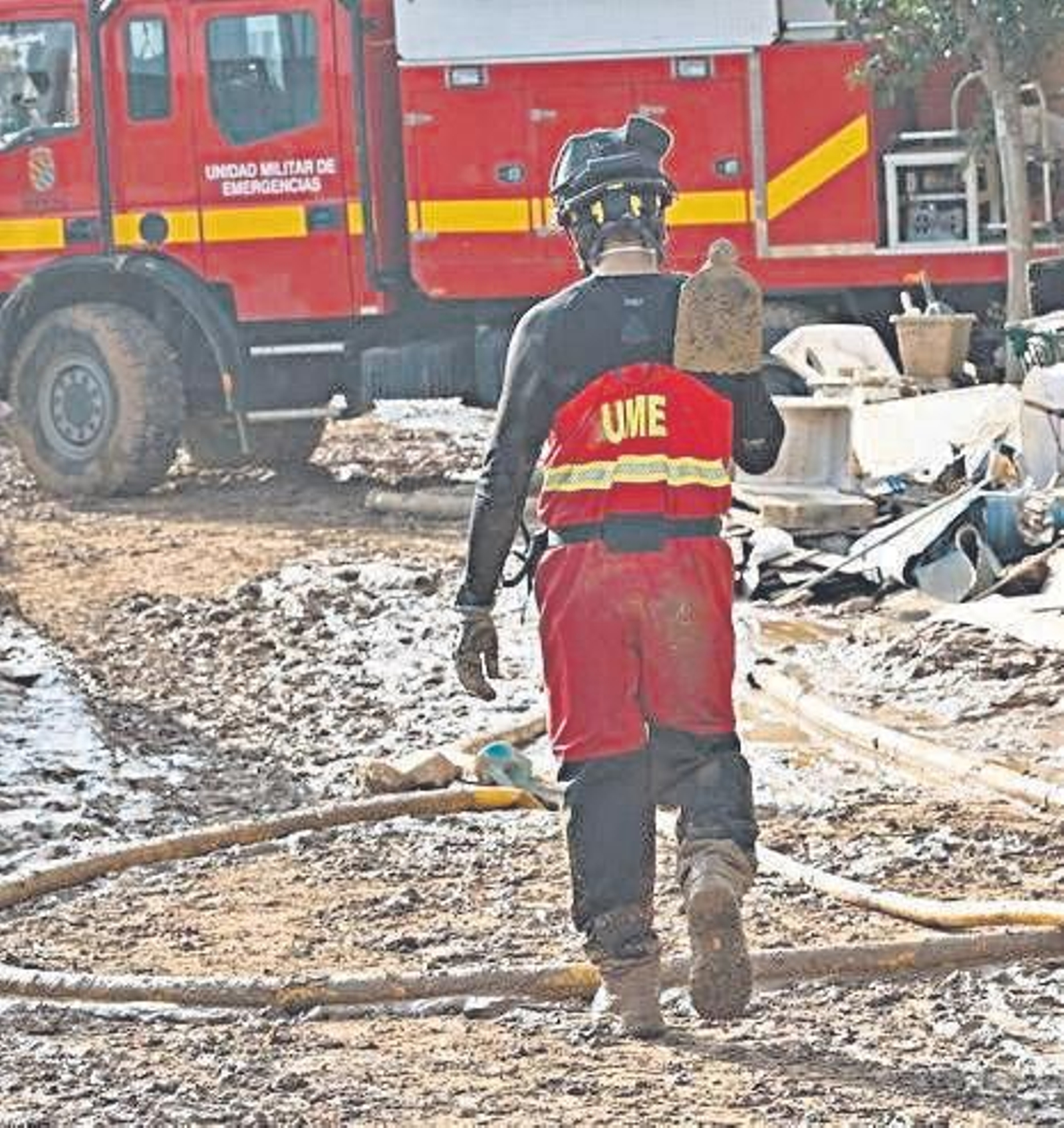 Operación “salvar al cerdito Porky”