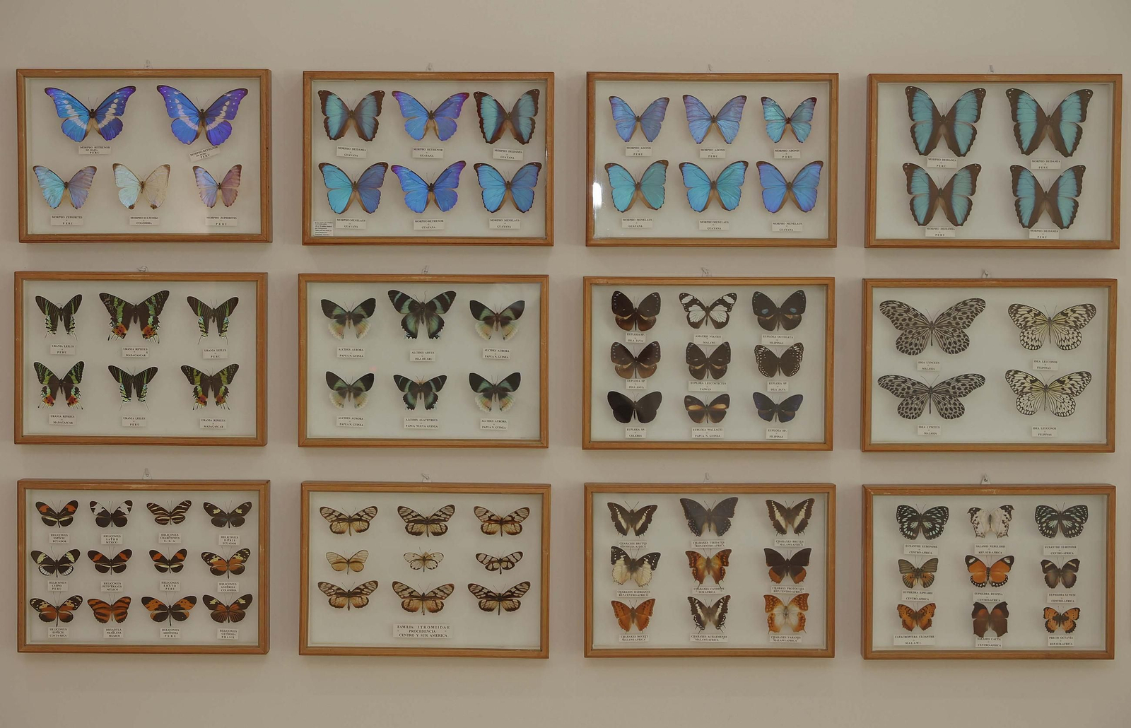 Fotos del Museo Cruz Herrera de La Línea