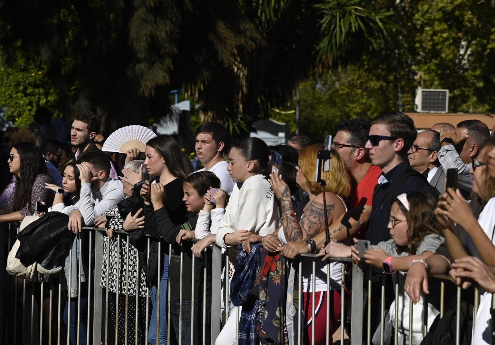 El primer certamen de bandas de Córdoba por Santa Cecilia, en imágenes