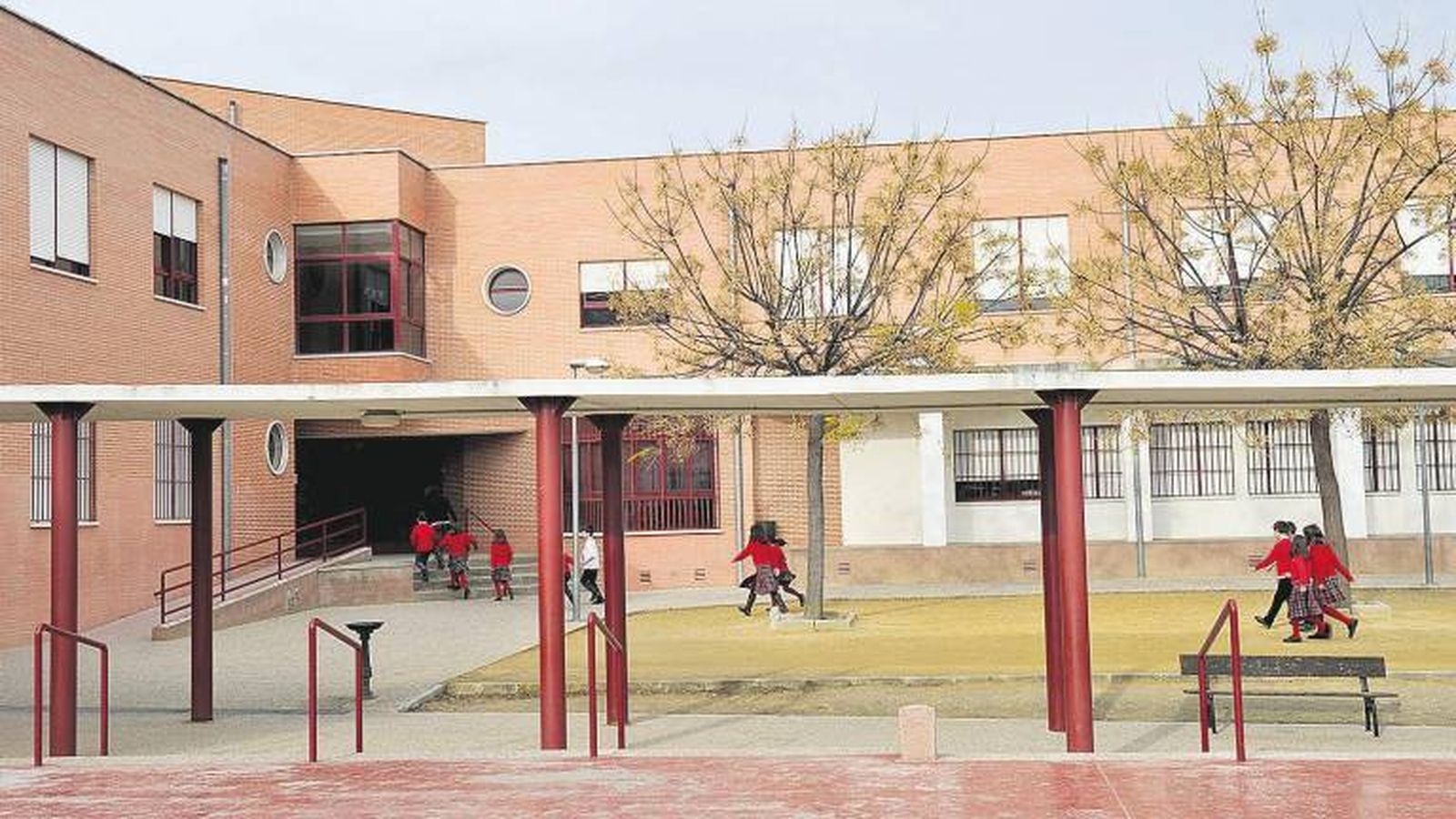 El Ayuntamiento de Jaén interpondrá una denuncia por la decapitación de un gato en un colegio
