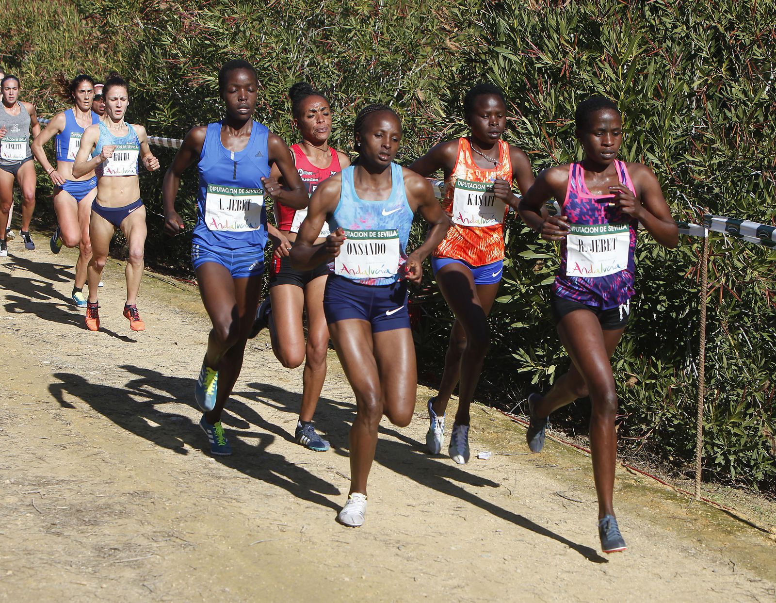 XXXVI edición del Cross Internacional de Itálica