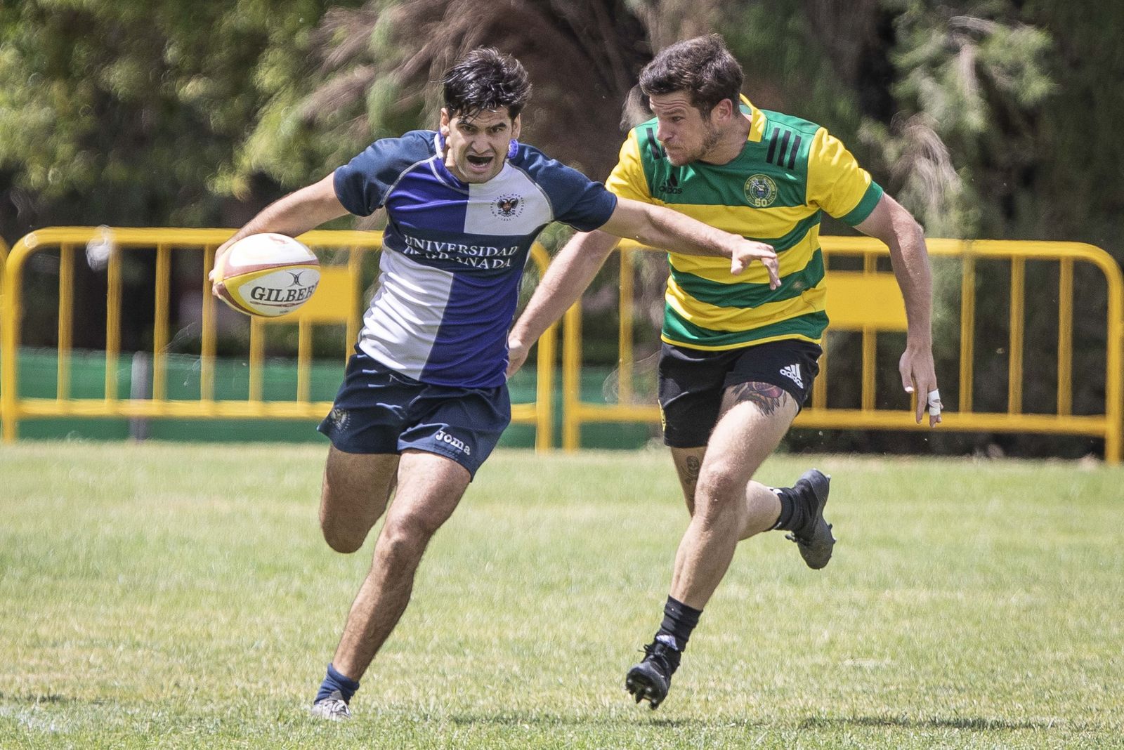 Las mejores fotos del partido del ascenso a División de Honor B de rugby entre Universidad de Granada y Portuense