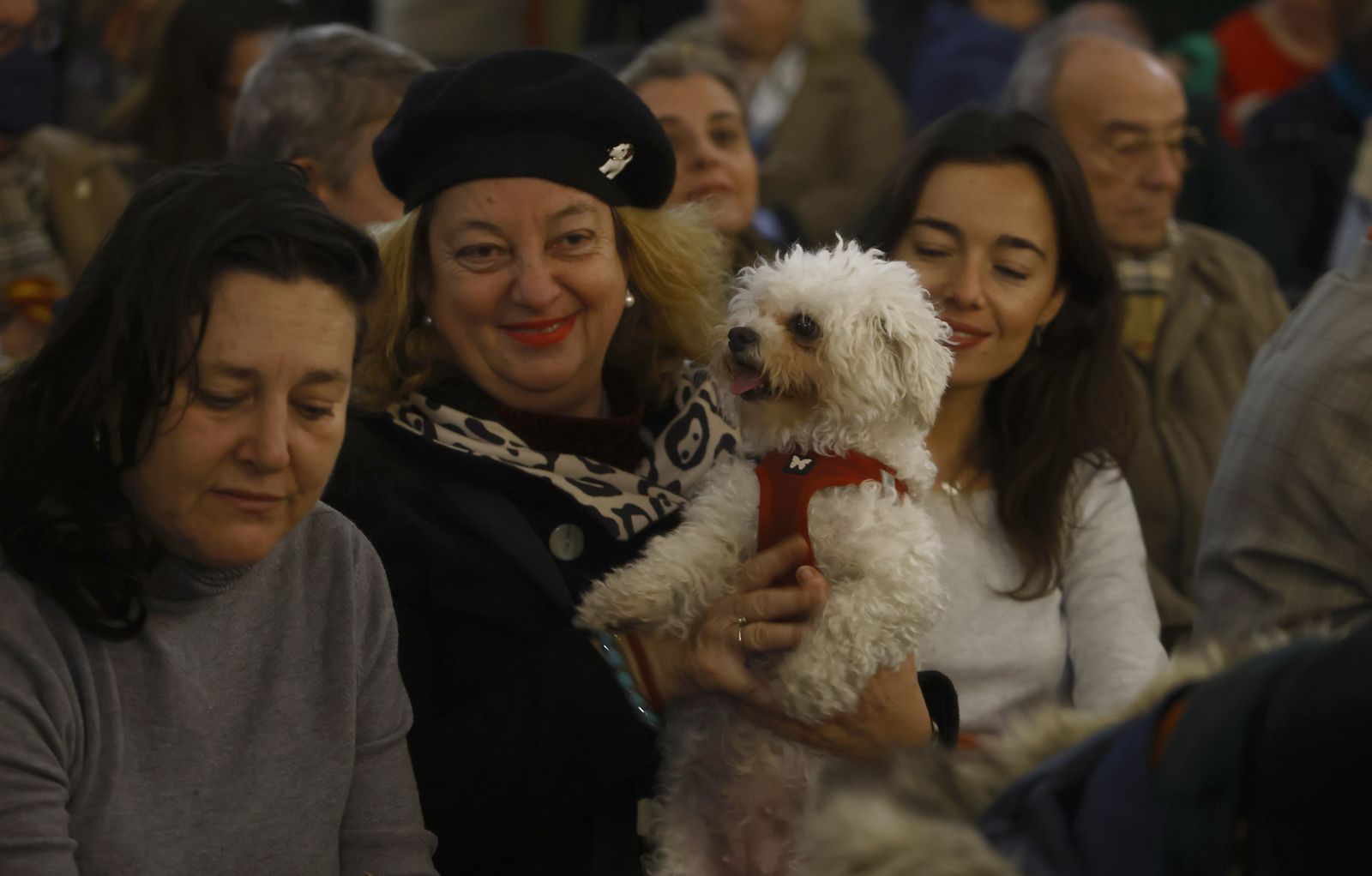 Bendición de animales por San Antón en la Divina Pastora, todas las fotos