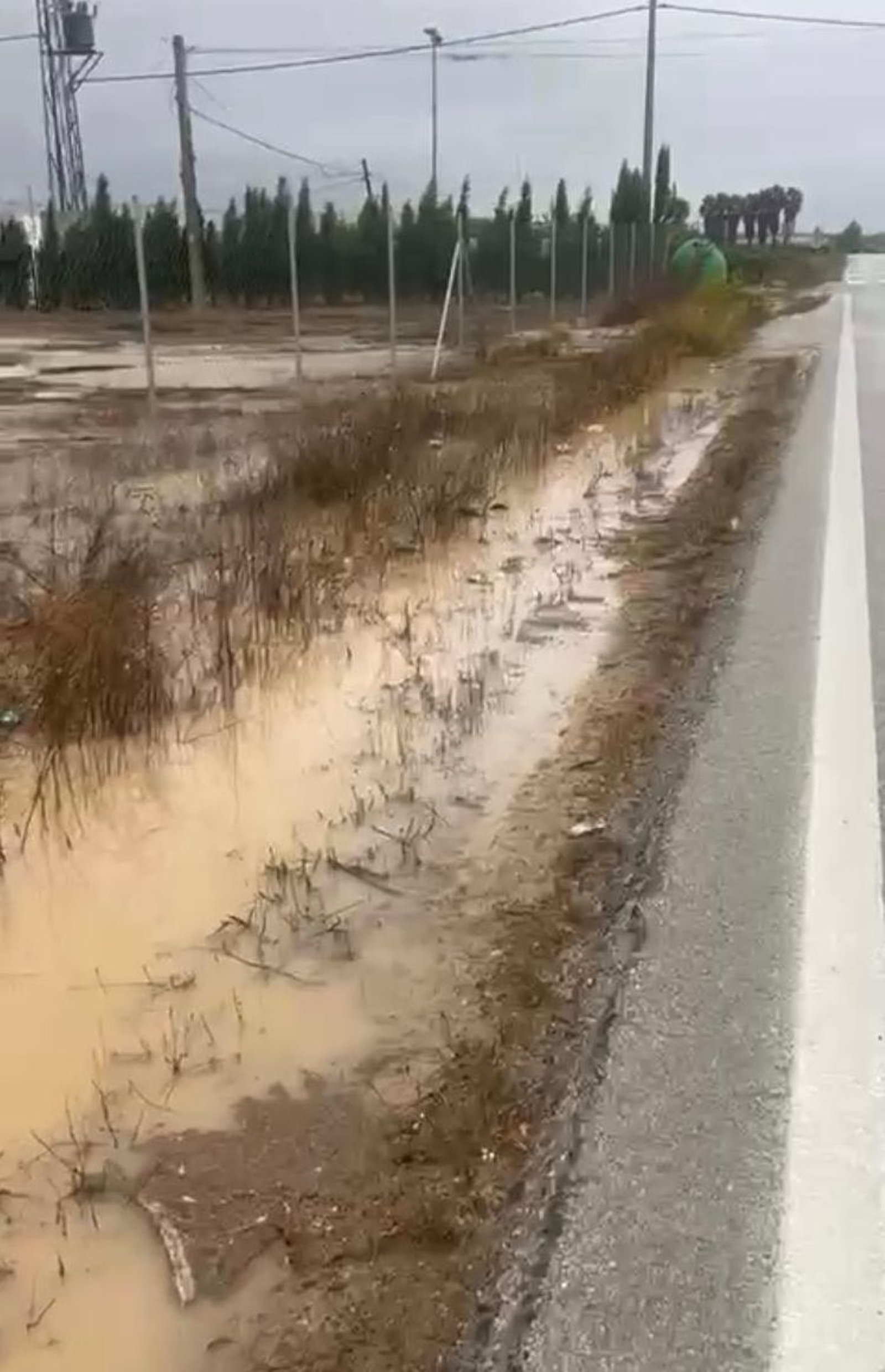 Otro de los puntos en los que actuó la brigada en la zona de Jerez.