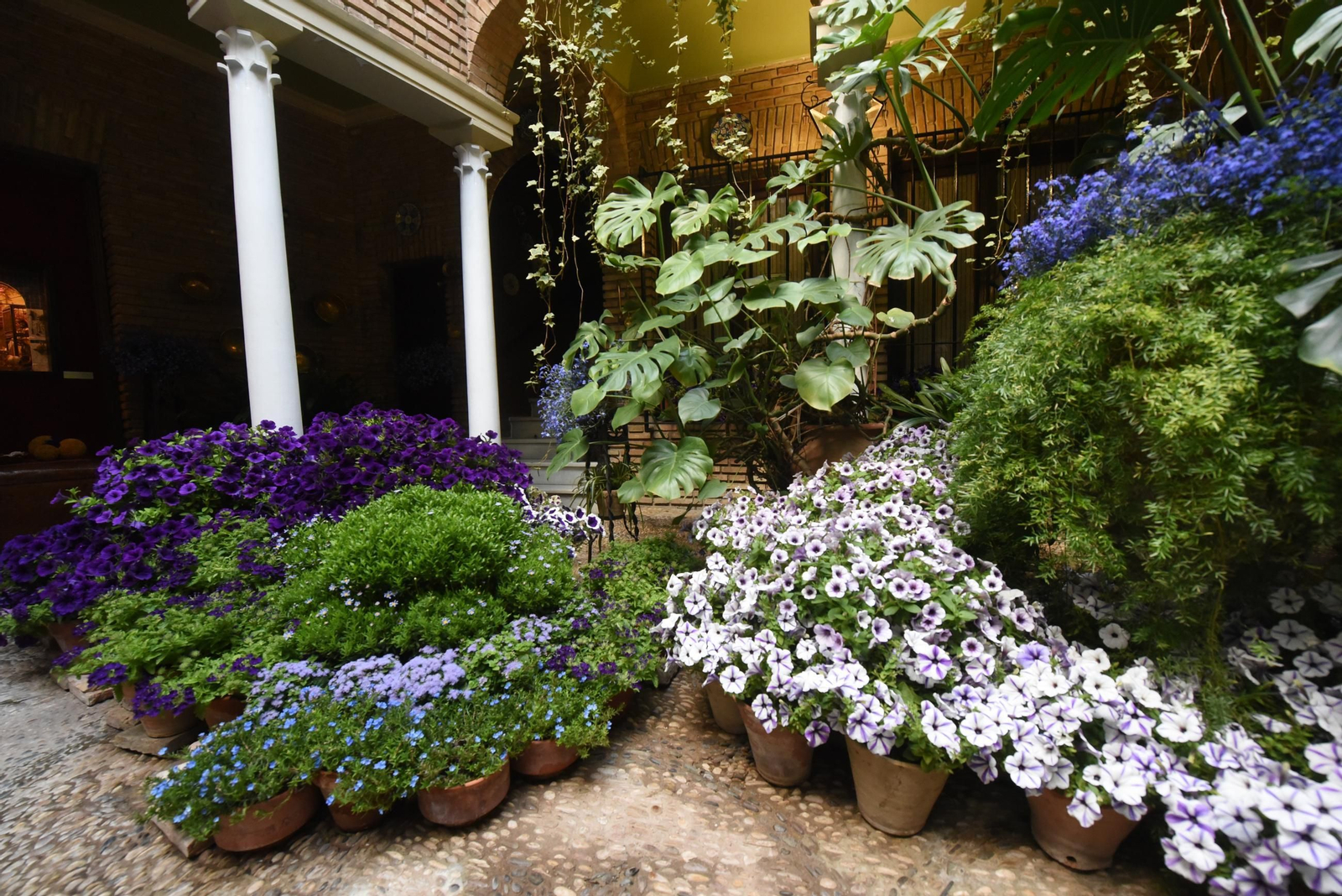 Una ruta en imágenes por los patios de la Judería y San Francisco