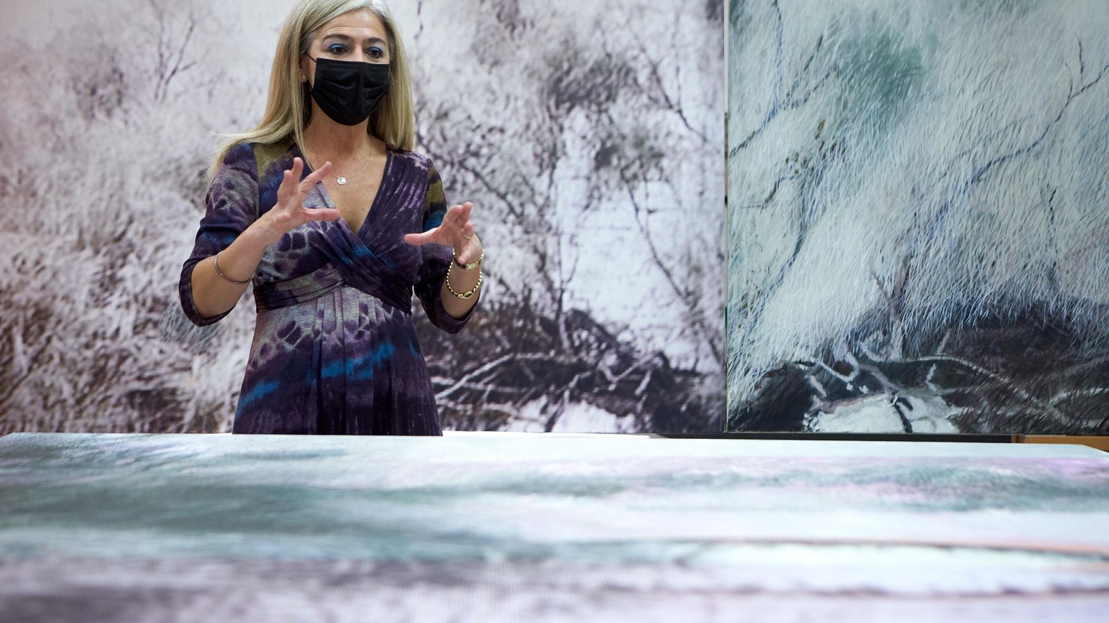 Patricia del Pozo, consejera de Cultura, ante otra obra de la donación.