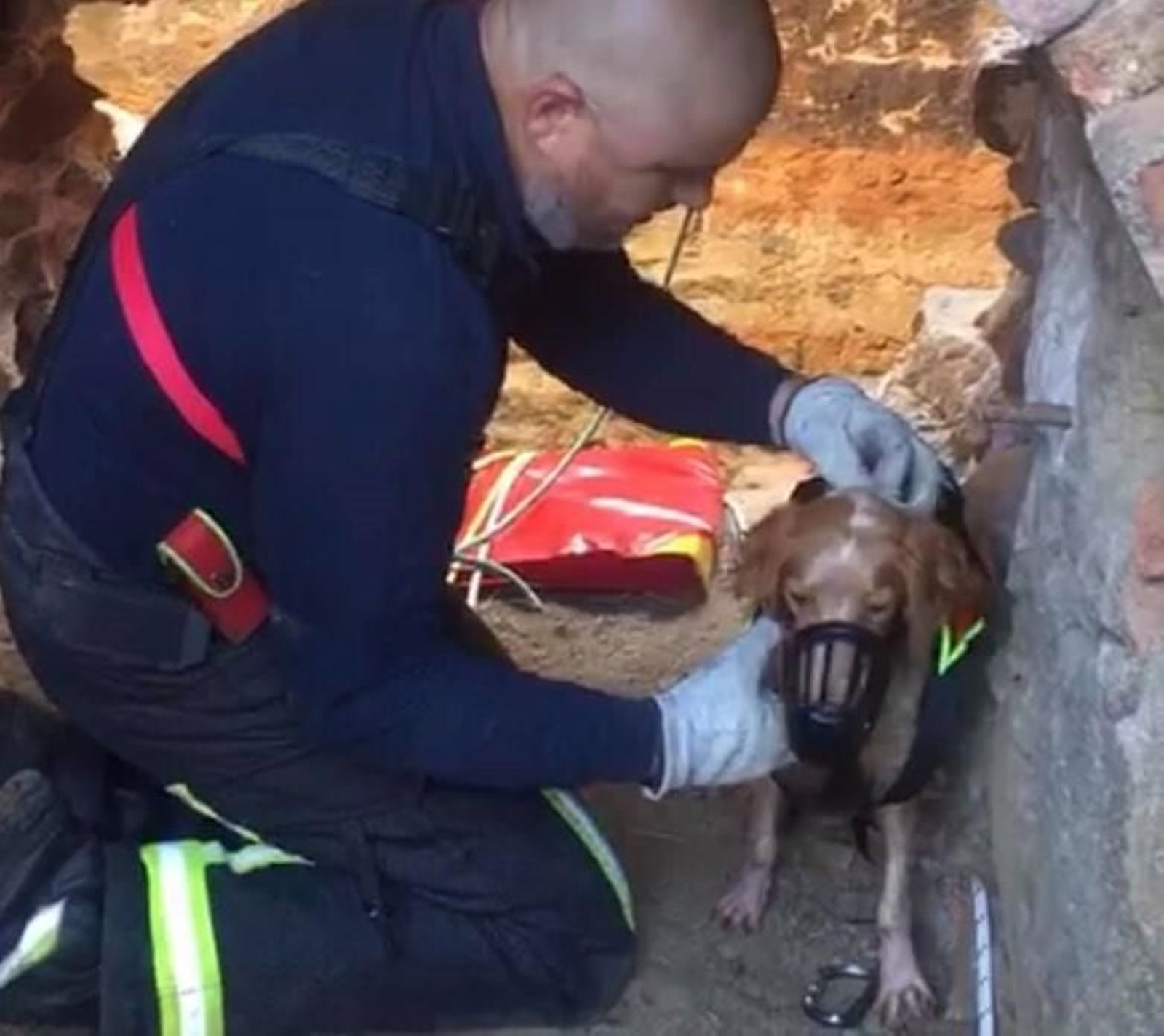 Descubren en Torrecampo una mina utilizada para "acabar con la vida de perros de caza" Descubren en Torrecampo una mina utilizada para "acabar con la vida de perros de caza"