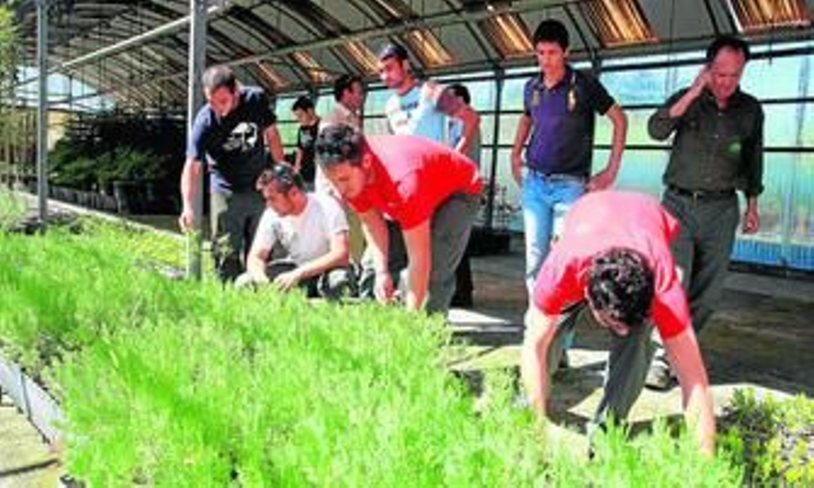 Un grupo de alumnos, ayer, realiza labores de jardinería en la granja escuela.