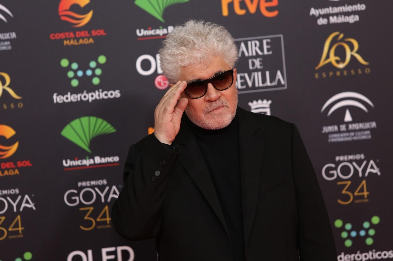 La alfombra roja de los Goya 2020 en Málaga