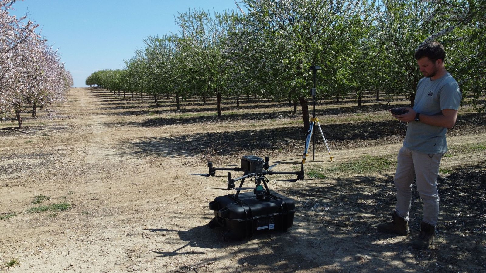 Investigación del AgroPhenoLab del IAS-CSIC en Córdoba para mejorar la productividad de cultivos como el almendro
