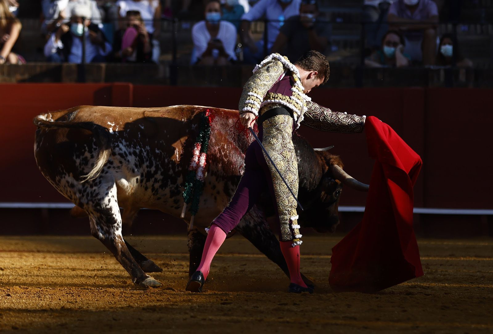 Fotos de la segunda novillada de la feria de San Miguel de Sevilla