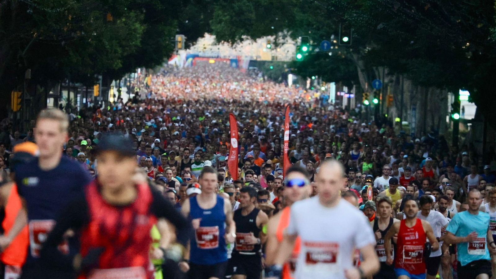 Las mejores fotos de la Maratón de Málaga 2024