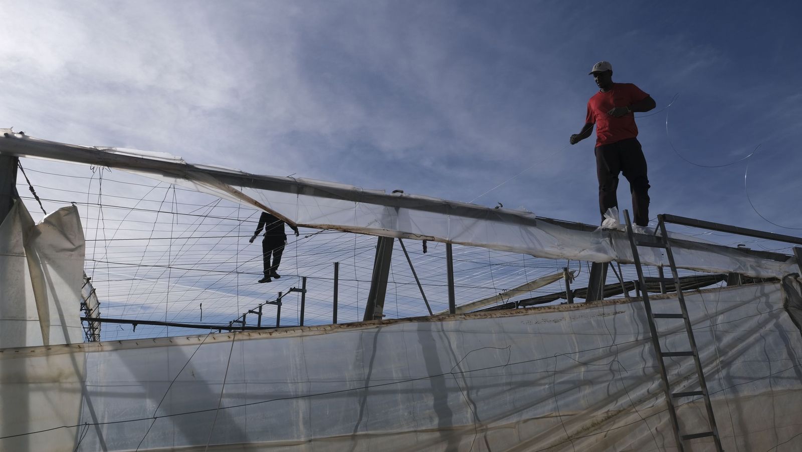 Los efectos del temporal de viento en los invernaderos, en imágenes