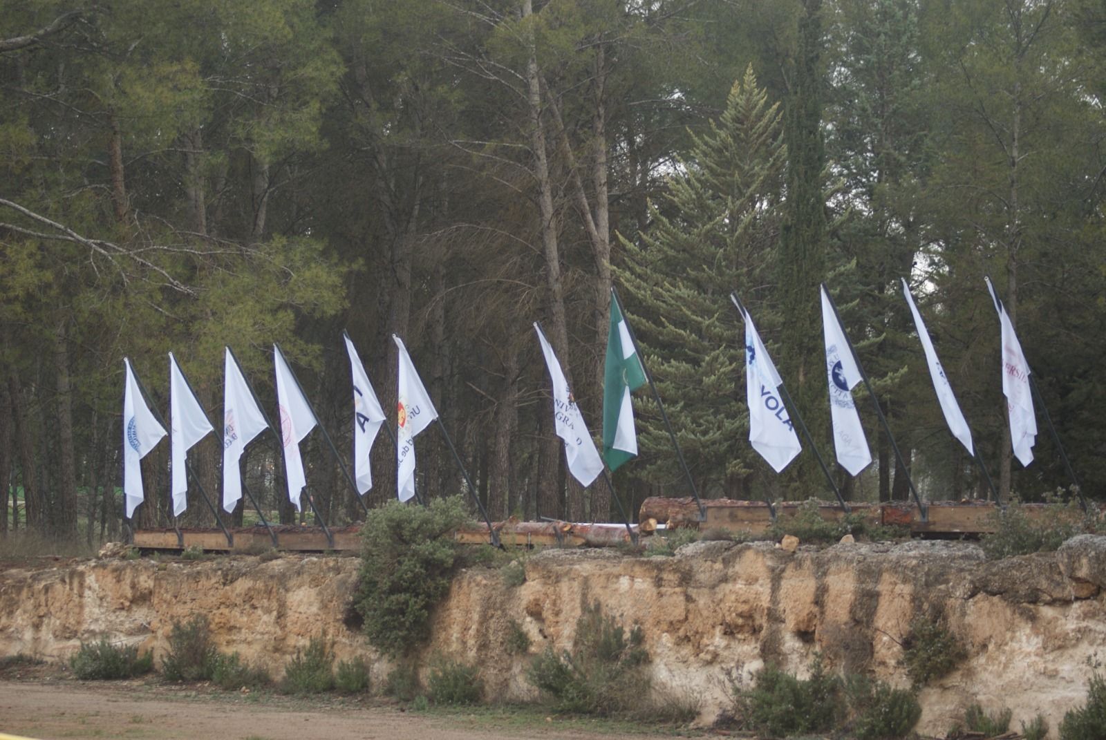 Las imágenes del Campeonato de Andalucía Universitario en Granada