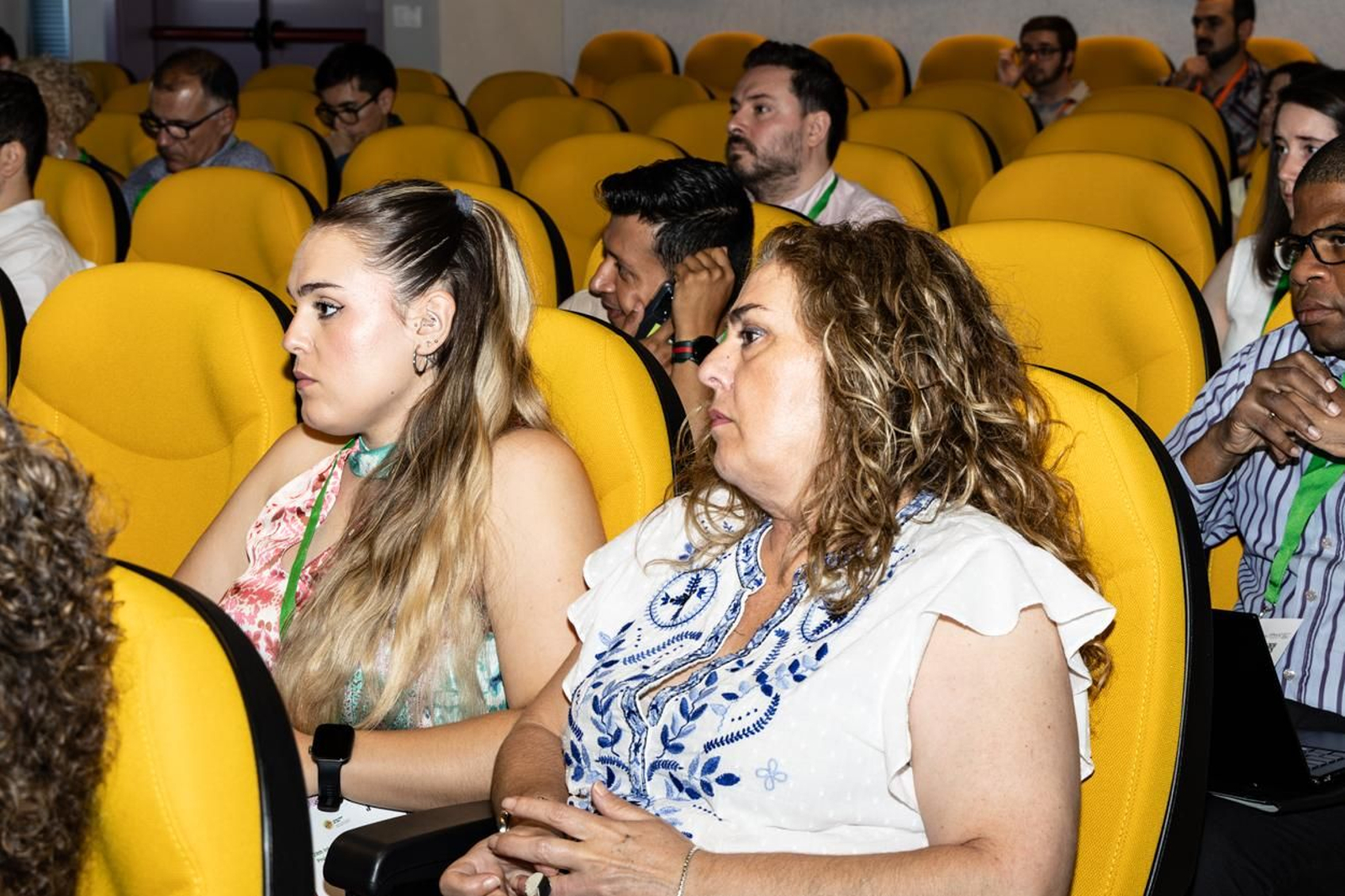Presentación del Congreso Internacional de Dirección e Ingeniería de Proyectos