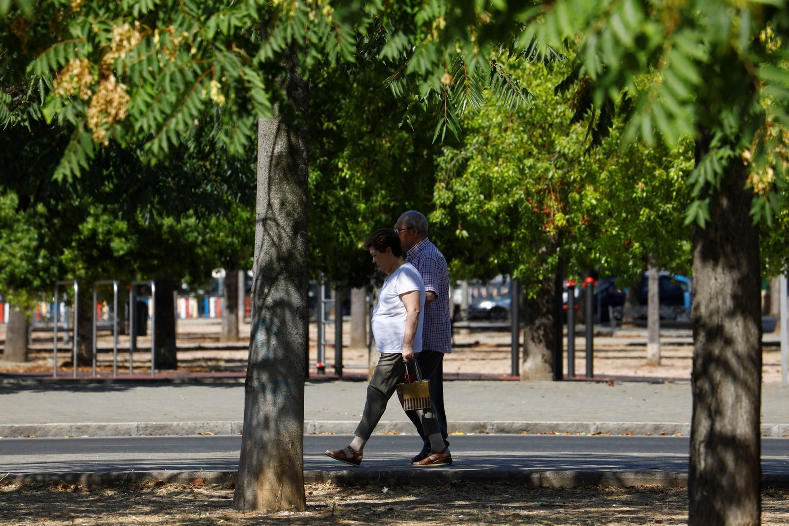 Un domingo de agosto en el barrio cordobés de Santuario, en imágenes