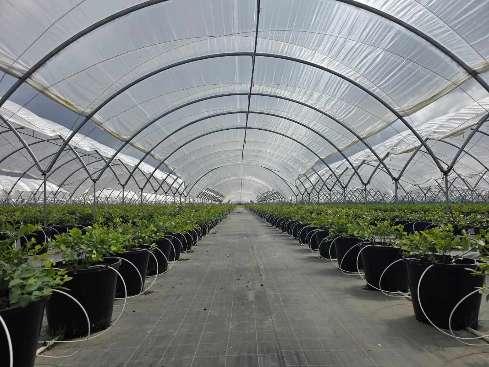 Técnicas Sanjorge, con más de 30 años de experiencia, es referente de la agricultura moderna.