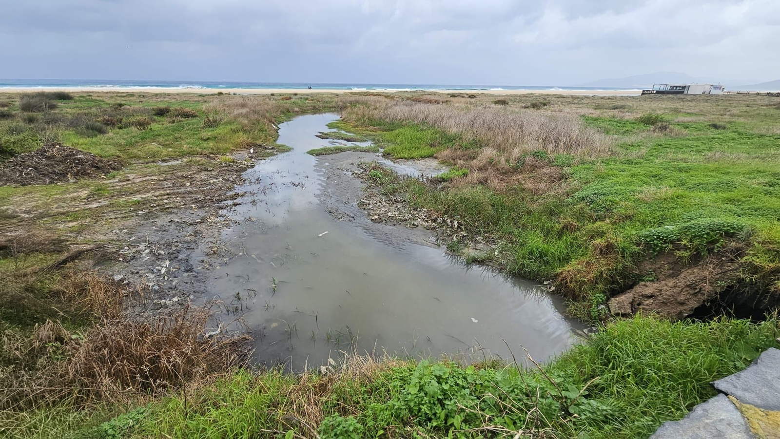 El vertido en la playa de Los Lances.