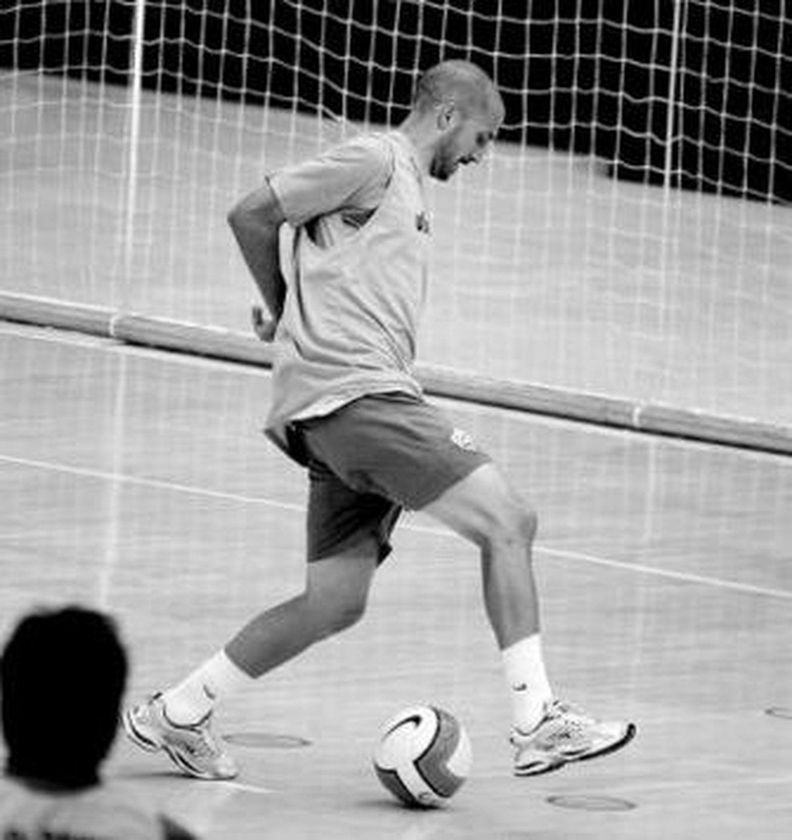 Bruno cotiza al alza.