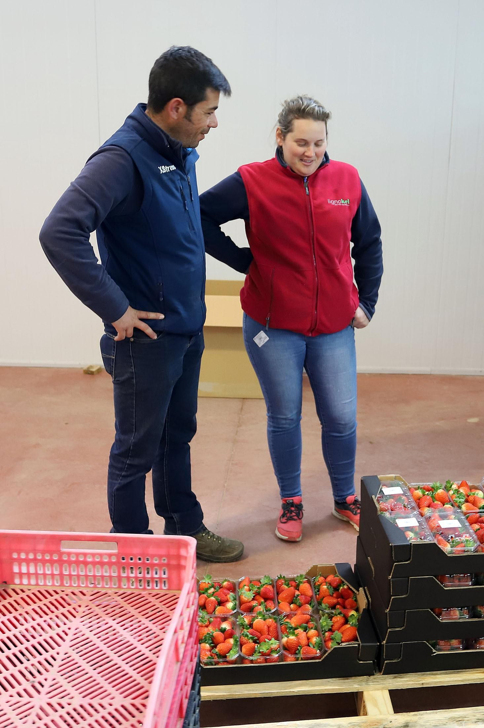 Imágenes de la realidad del trabajo en el campo