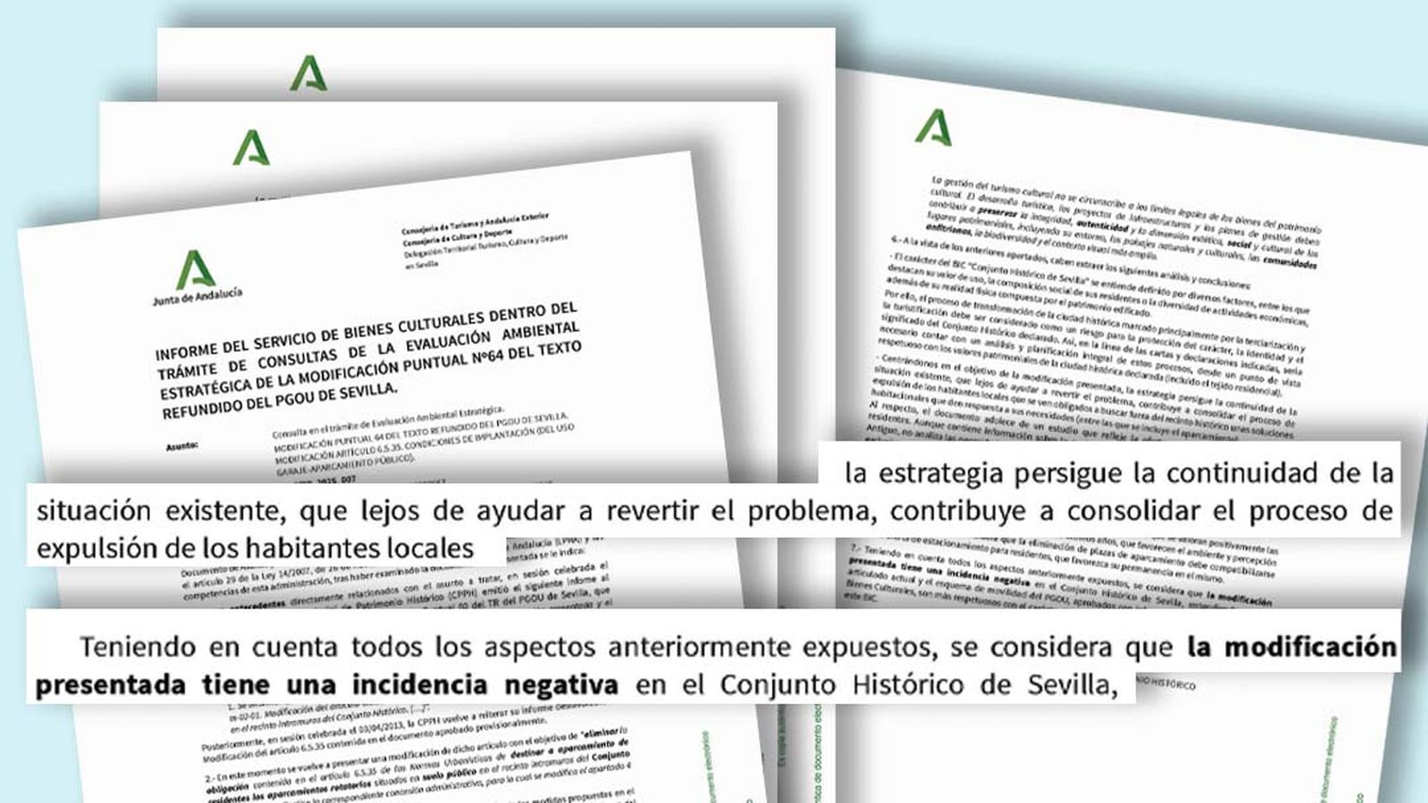 Informe del jefe del Departamento de Protección del Patrimonio Histórico.
