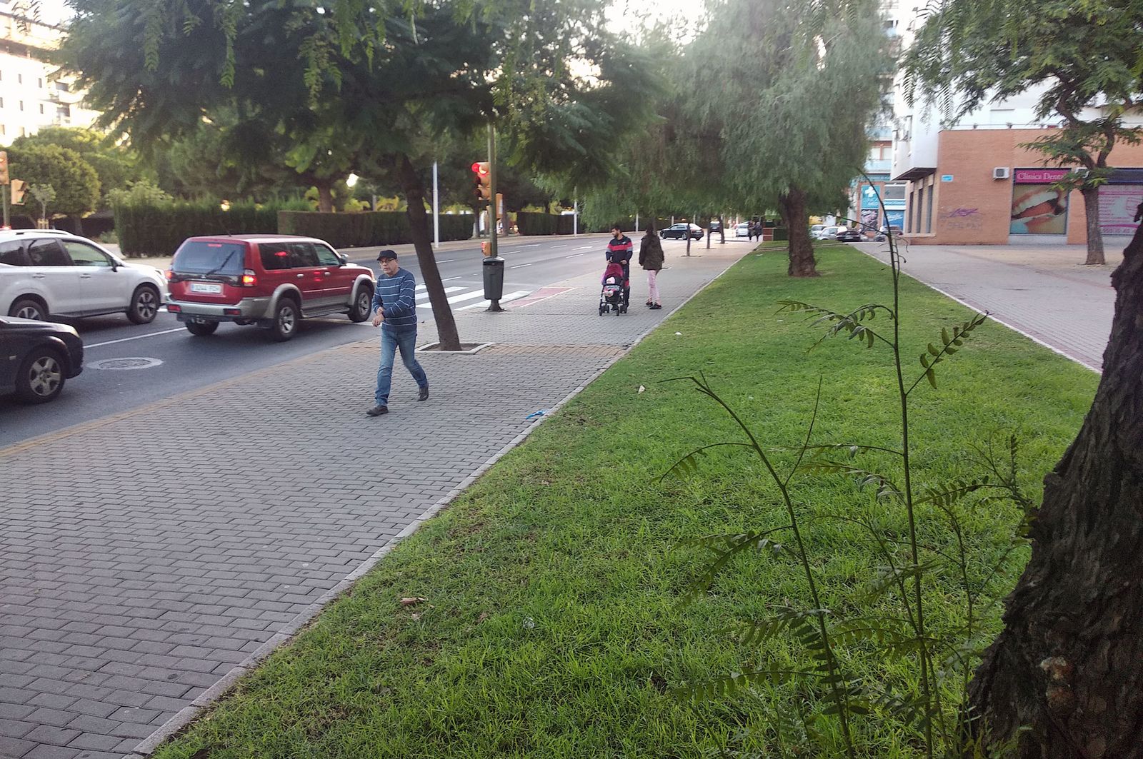 Tramo de la avenida de Andalucía donde la rata atacó a la señora