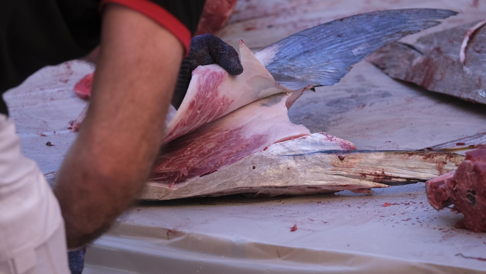 Jornadas del ronqueo del atún de almadraba en el Espacio Gastronómico Tony García, en Almería