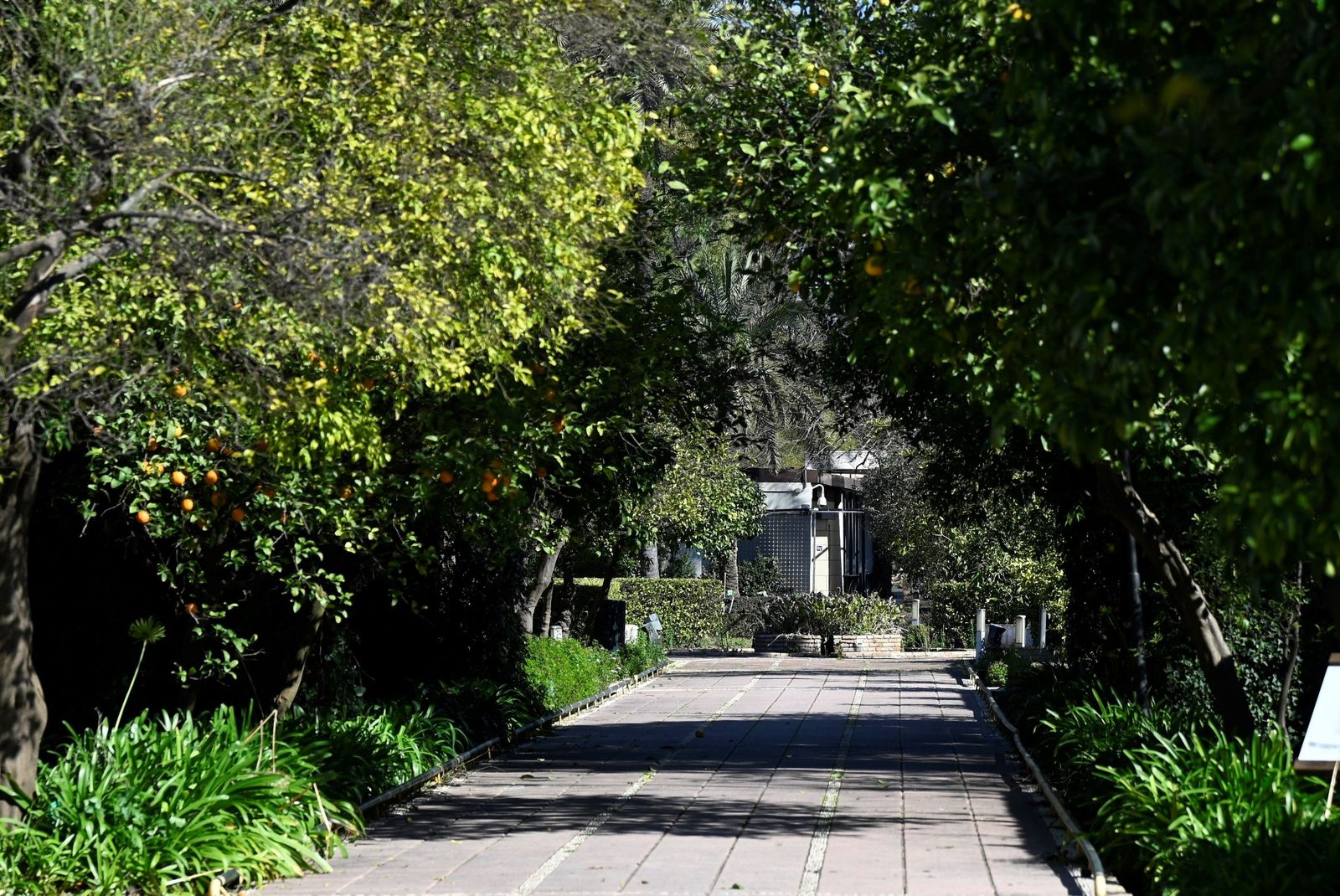 El Jardín Botánico de Córdoba reabre sus puertas tras subsanar los daños por el temporal