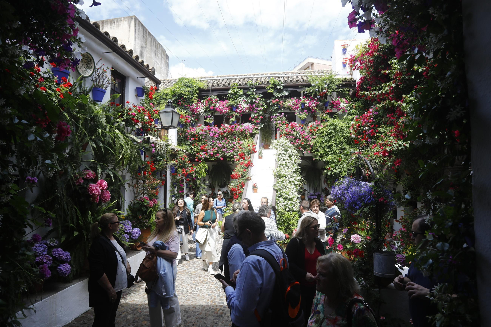 Colas e ilusión en el primer sábado de los Patios de Córdoba, en imágenes