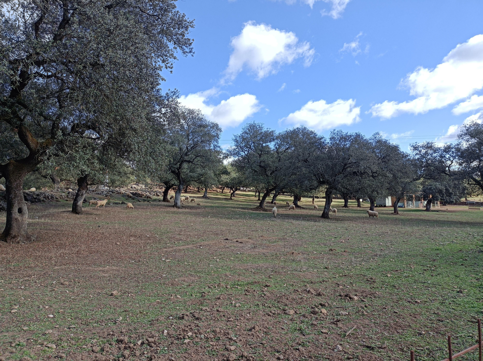 Fotos de la ruta de los molinos de Almadén de la Plata