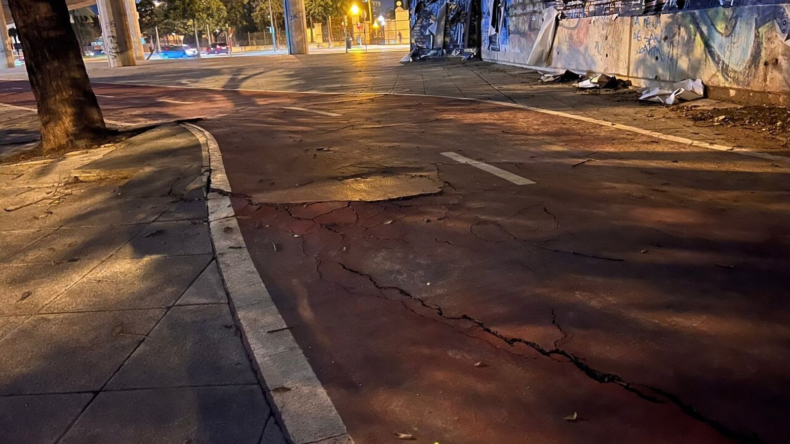 Una imagen del mal estado del carril bici de Jerez