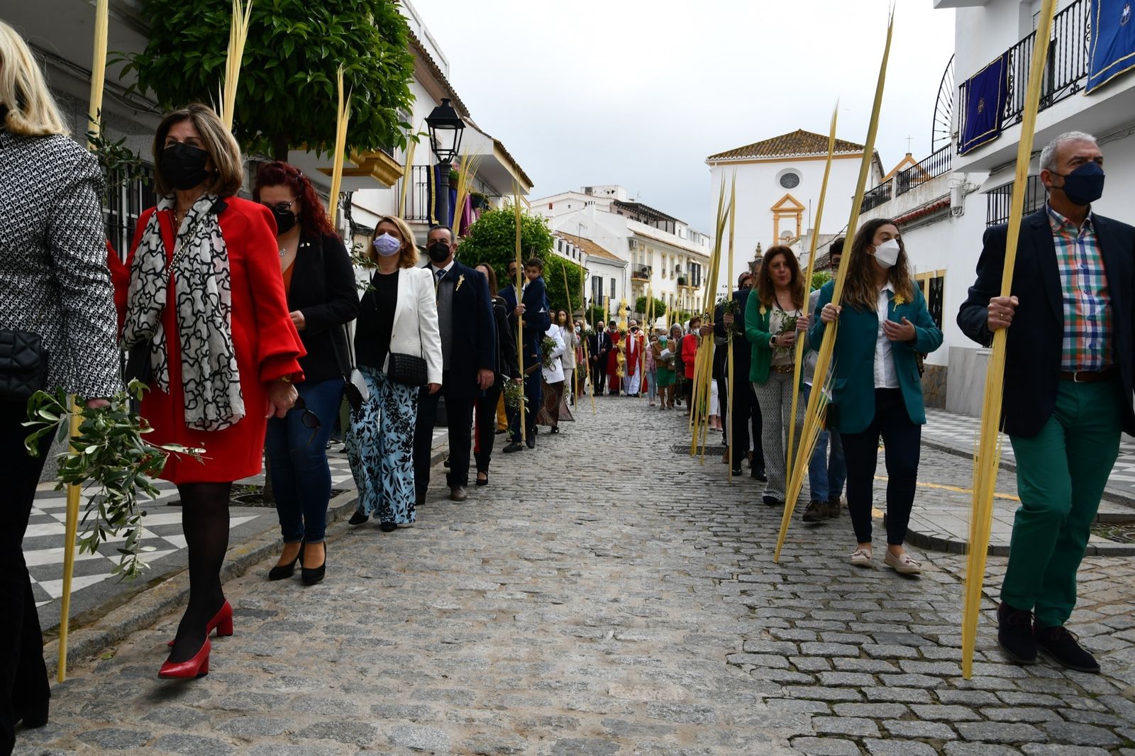 Las fotos del domingo de palmas y olivos en San Roque