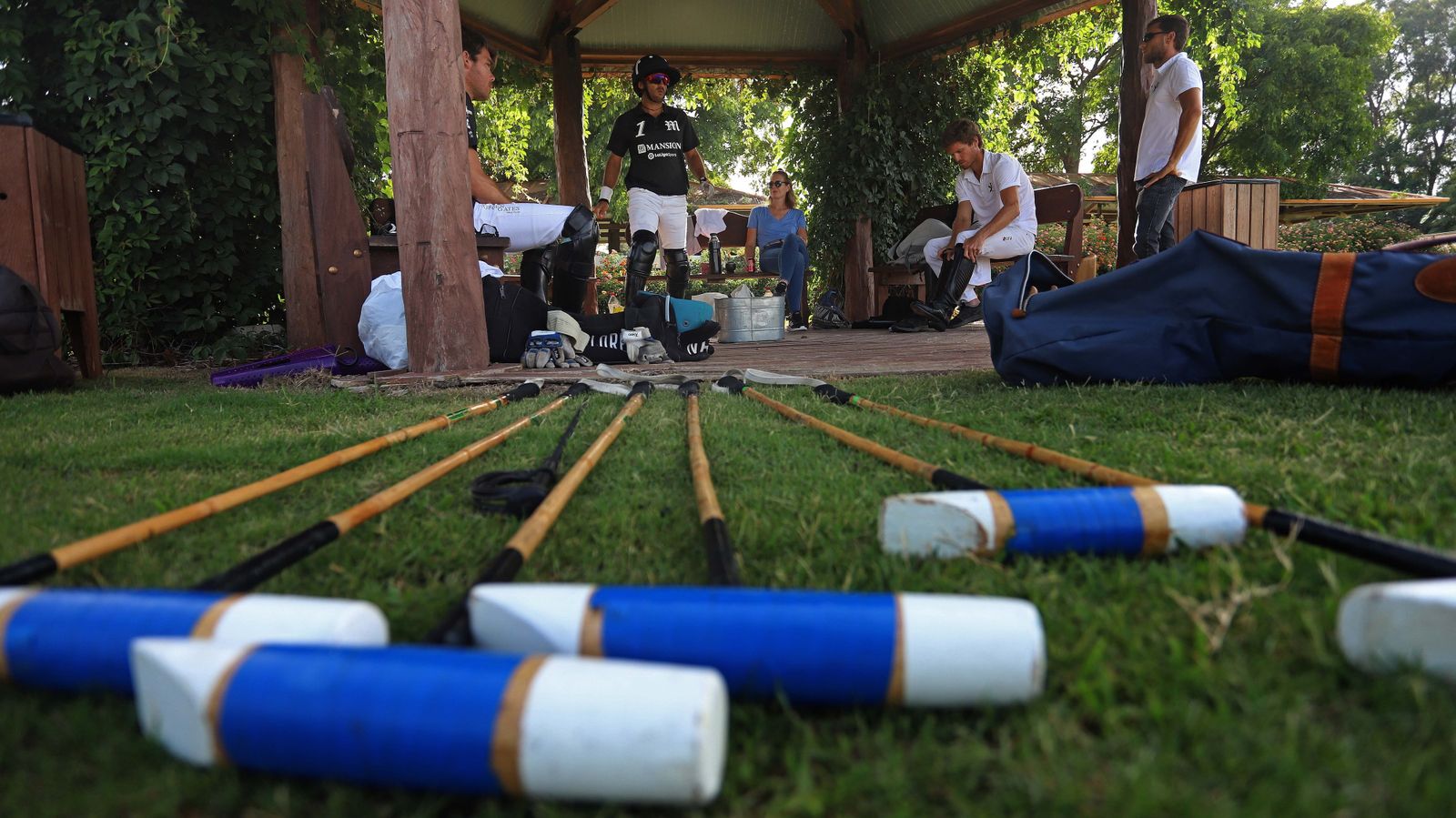 El polo desde dentro