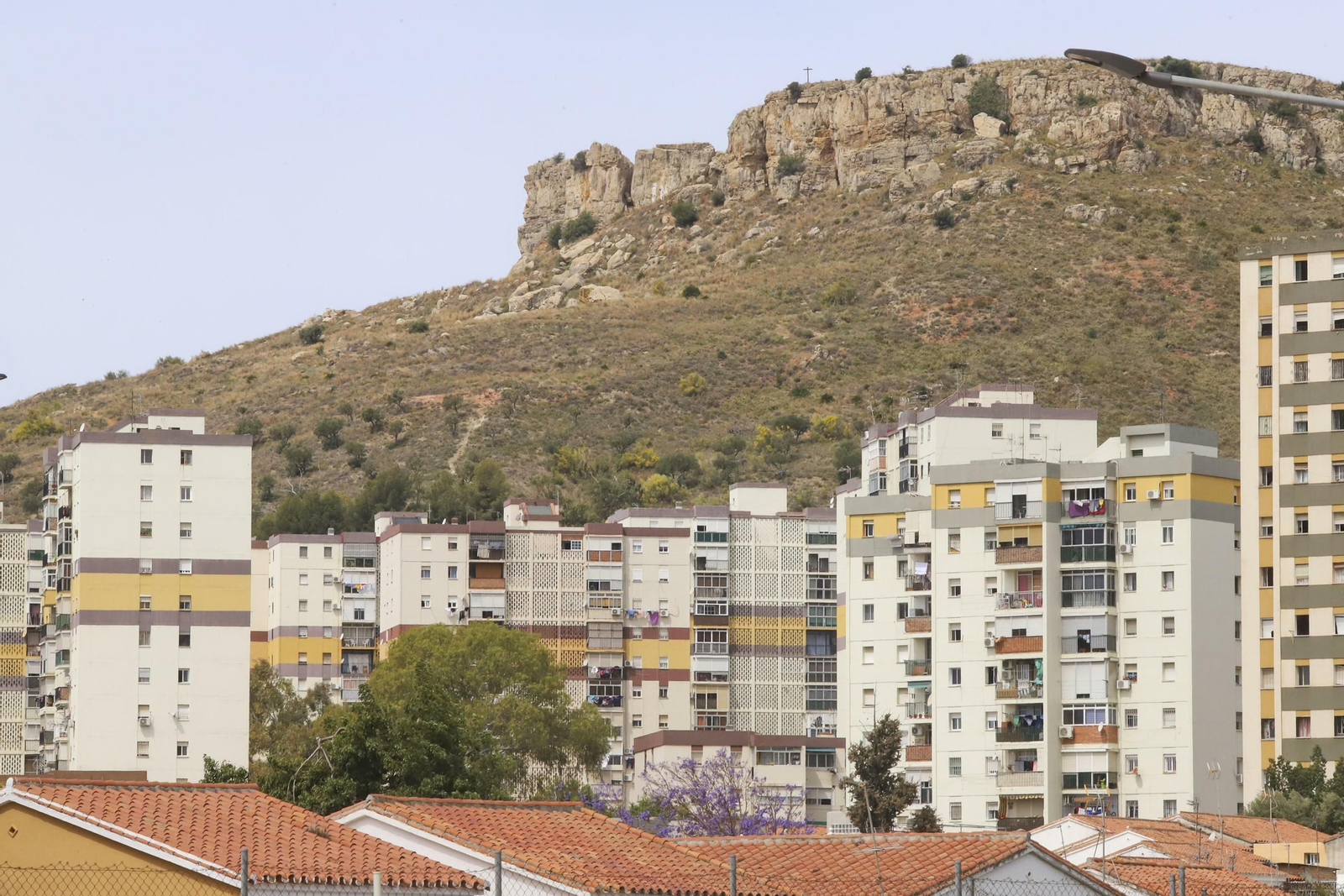 Las fotos del distrito Palma-Palmilla