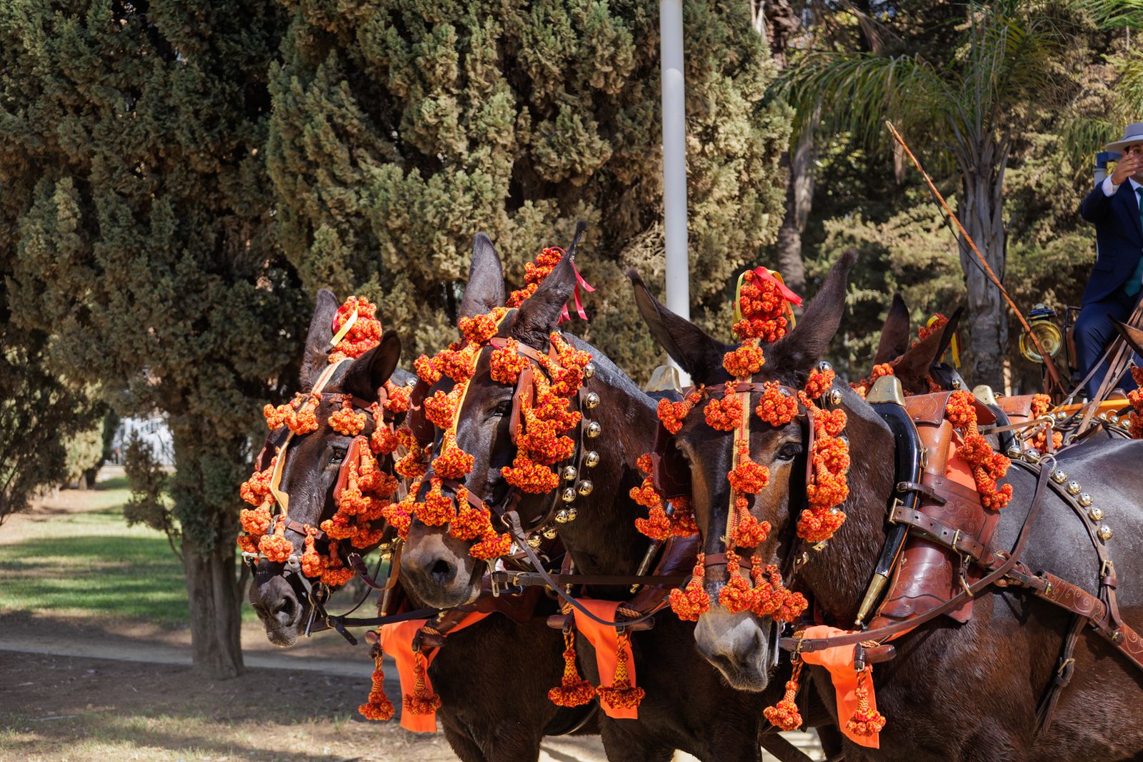 Feria del Caballo 2023: Las mejores imágenes de la primera tarde en el Parque Zafra