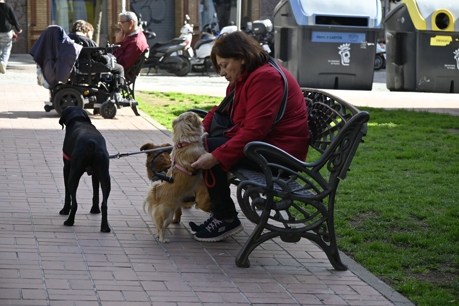 Imágenes del viernes 10 de marzo en Huelva
