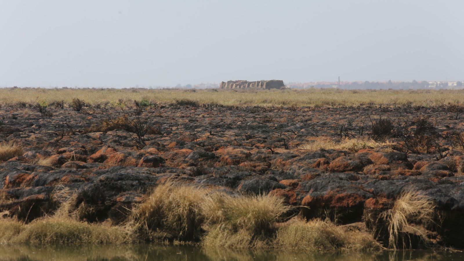 En primer término la zona quemada junto al estero de Peguerillas.