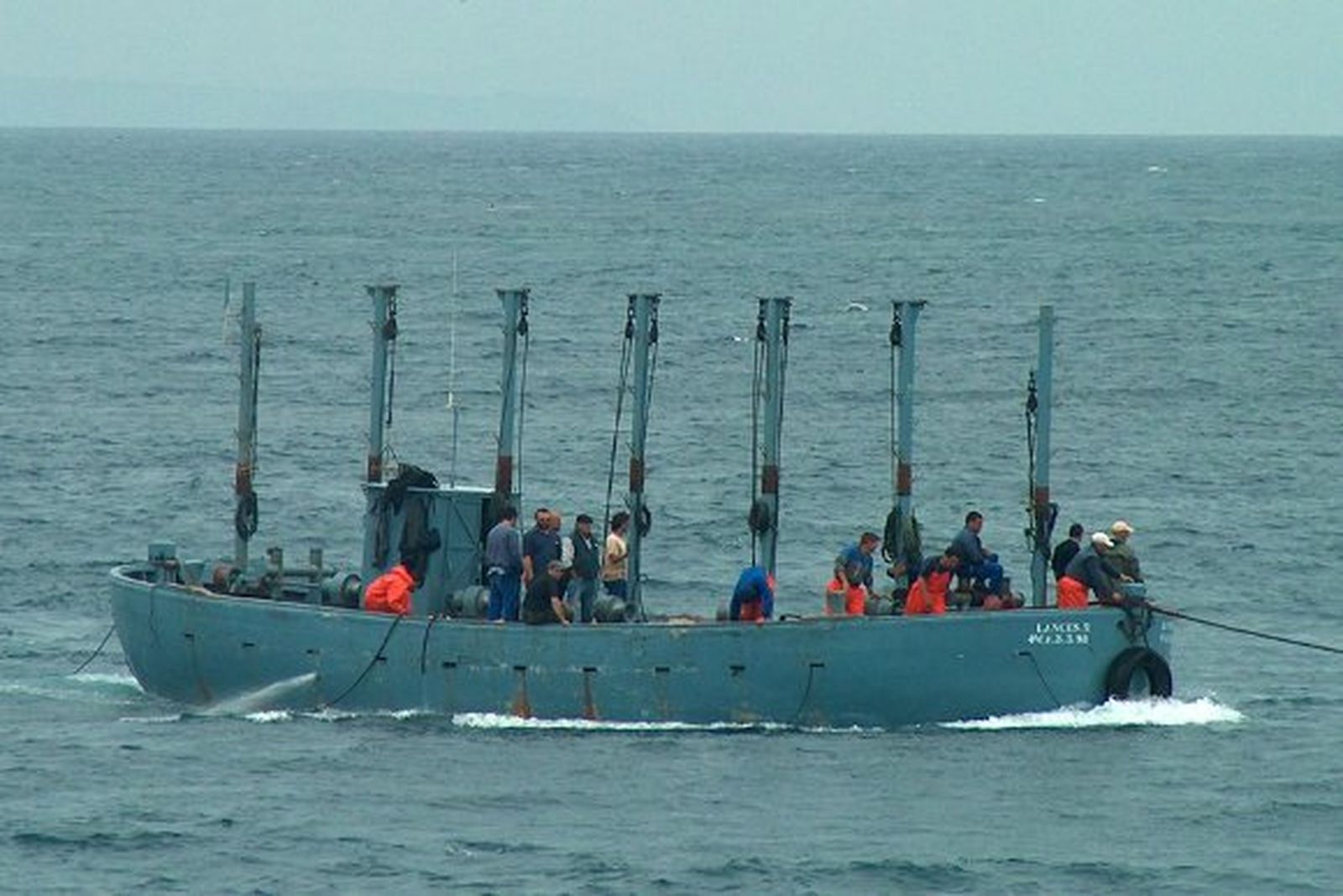 Almadraberos, "indignados" ante la negativa del Gobierno a aumentar la cuota a Tarifa