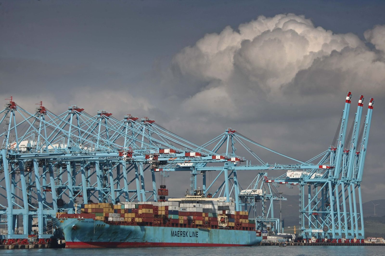 Un barco en plena operación de estiba en la terminal de APM.