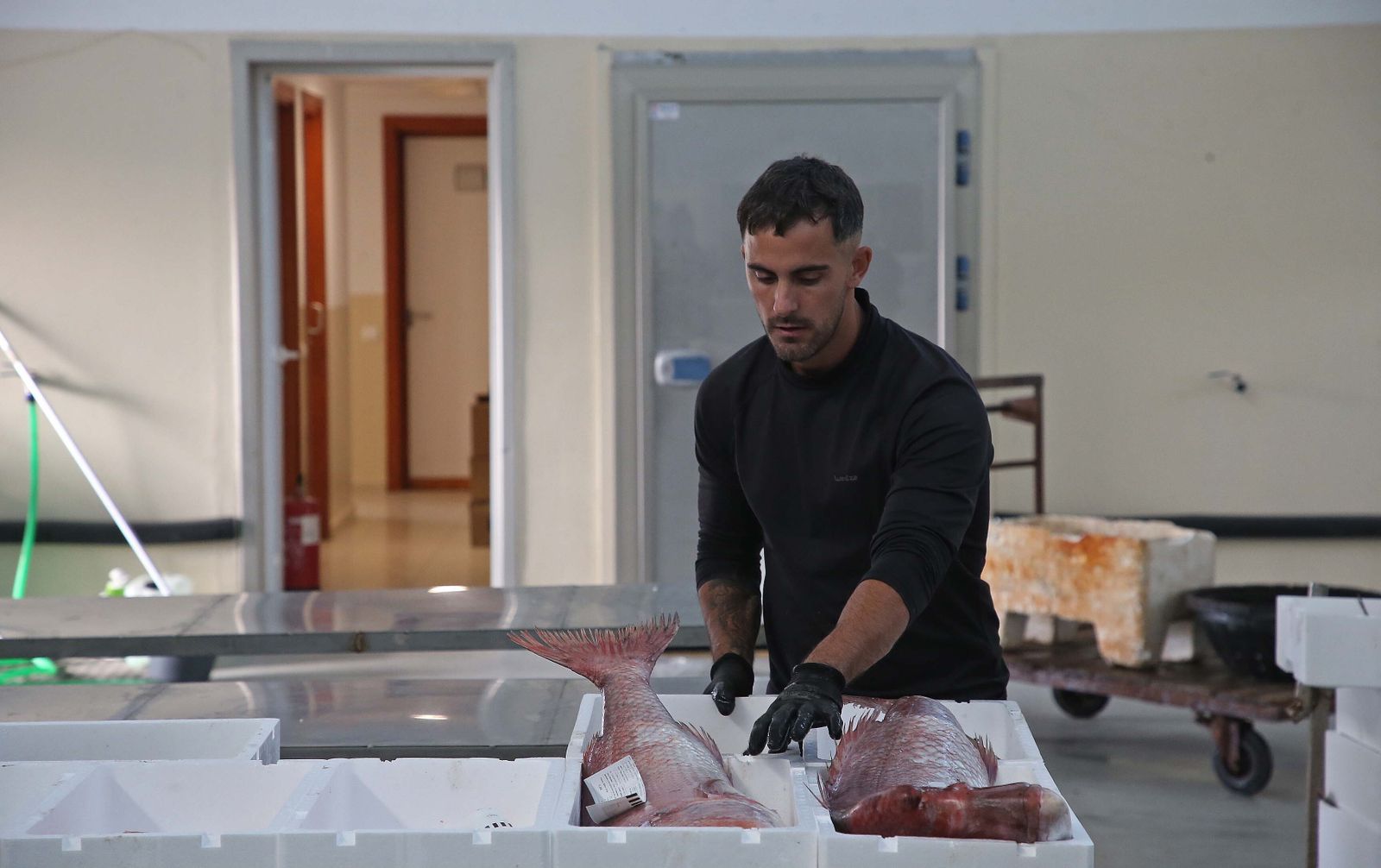 Jonathan Sánchez, en la lonja de La Atunara.