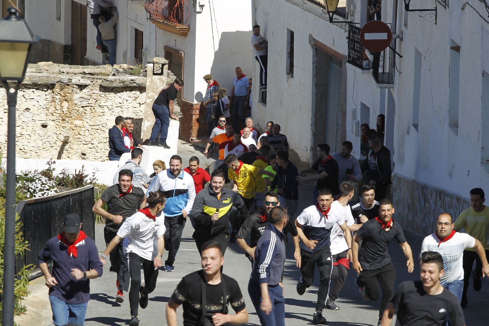 Fotogalería Tosos Ensogaos Ohanes. Fiestas San Marcos.