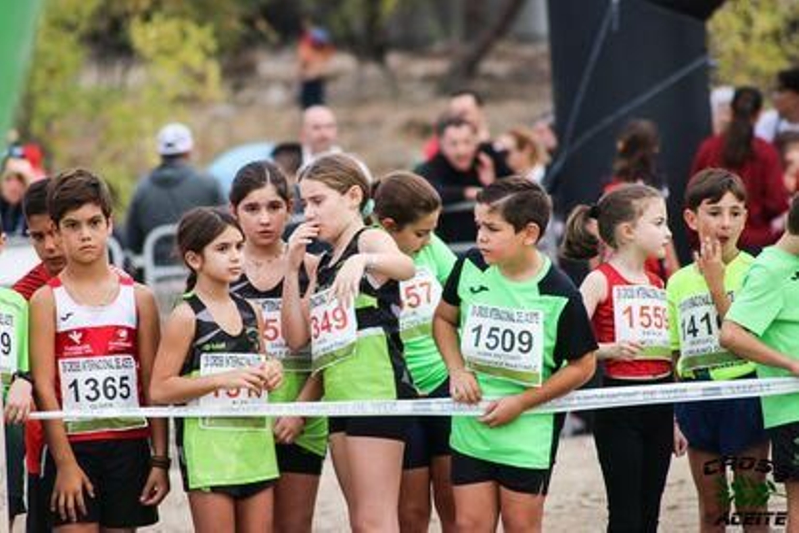 La emoción de la 39 edición de la Cross del Aceite de Torredonjimeno, en imágenes