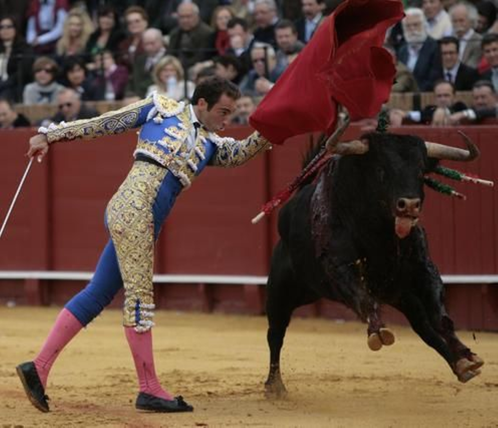 El diestro Salvador Cortés abrió la tarde en la Maestranza.

Foto: Juan Carlos Muñoz