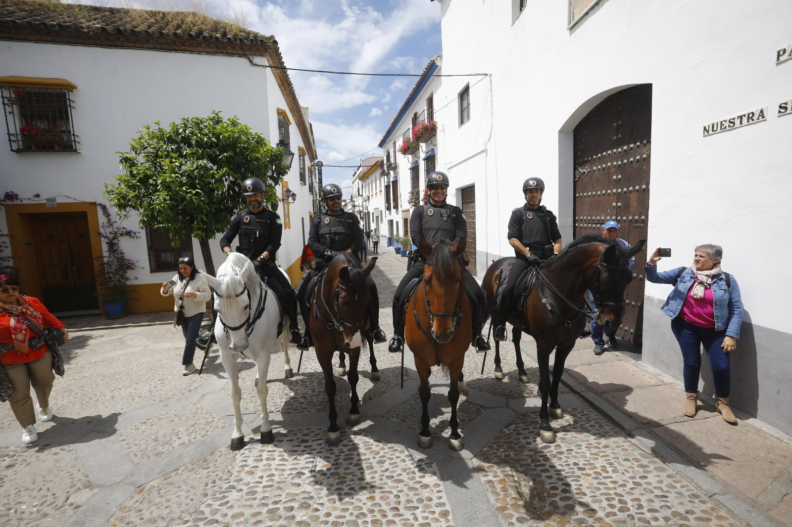 Colas e ilusión en el primer sábado de los Patios de Córdoba, en imágenes