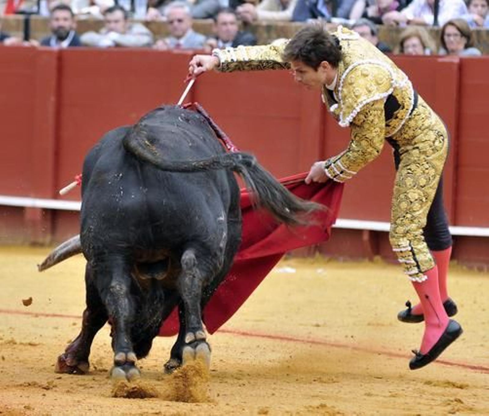 El Juli, frente al primero de la tarde.

Foto: Juan Carlos Muñoz