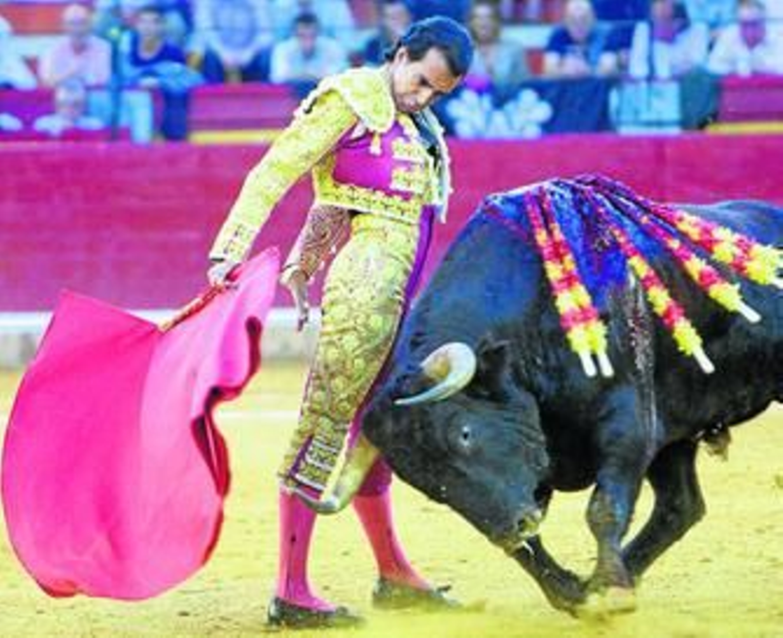 Lo mejor, la brevedad