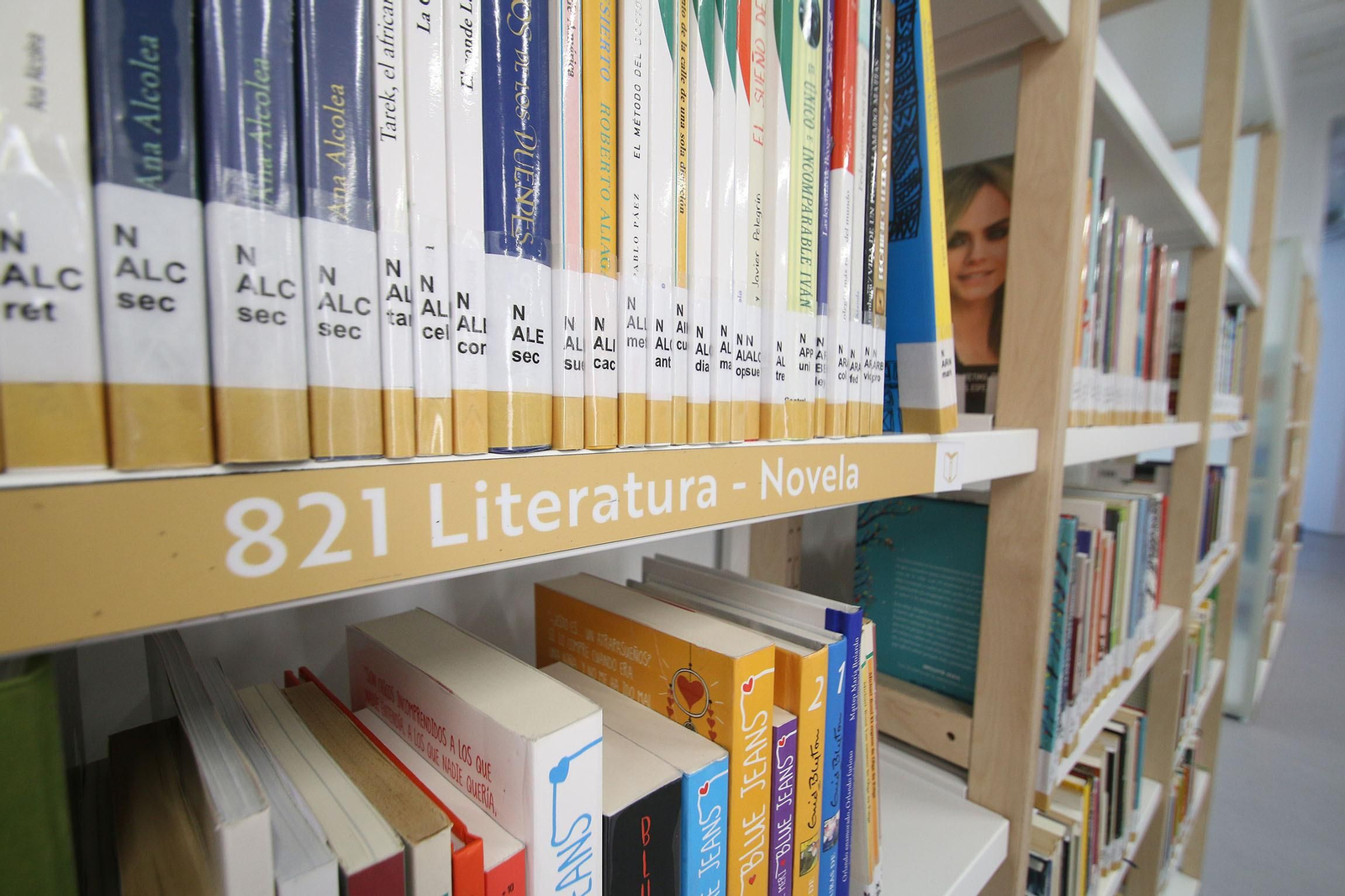 Fotogalería de la Biblioteca Central José María Artero