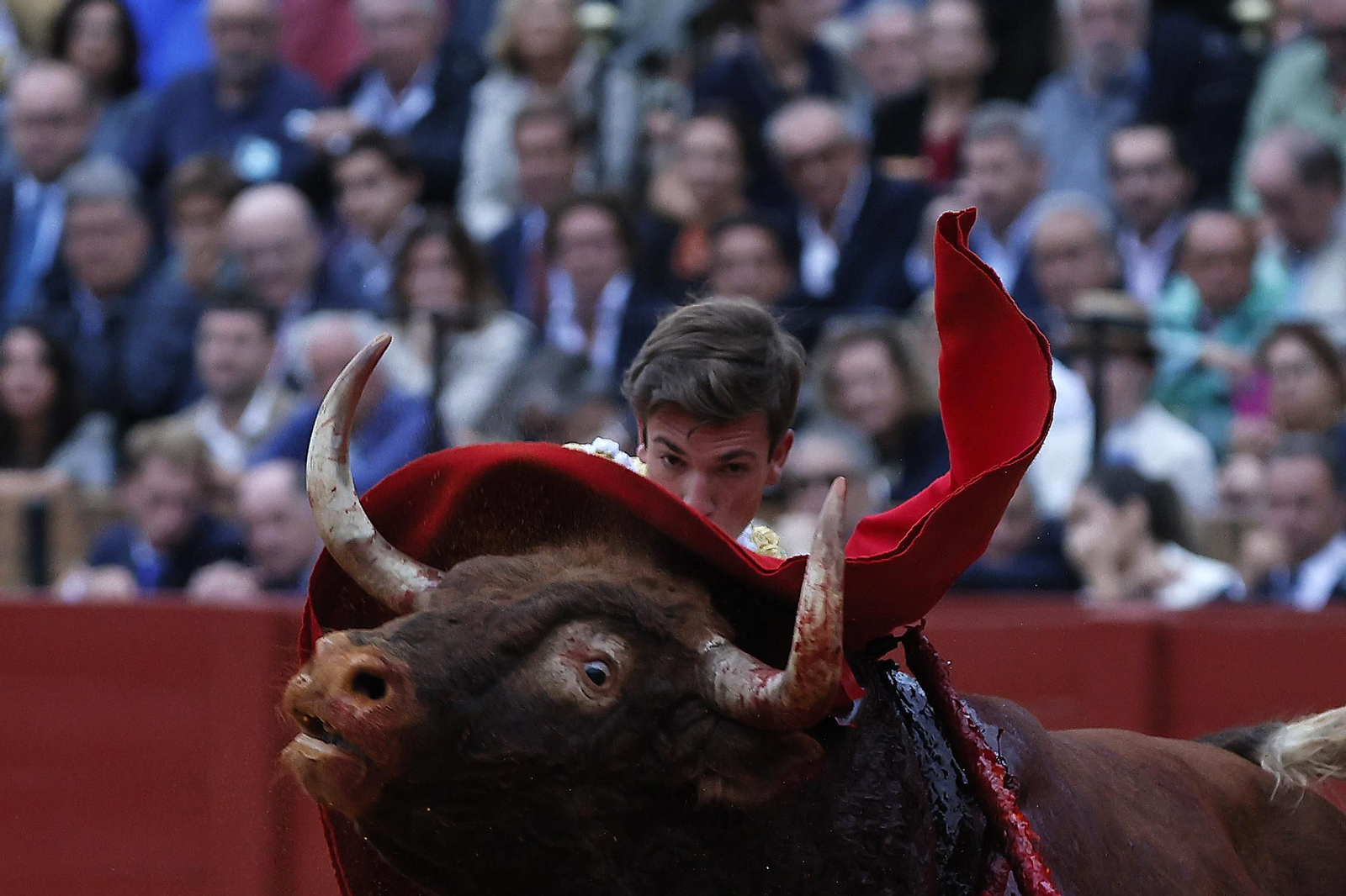 Las imágenes del festejo